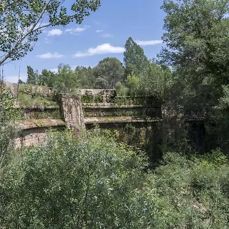 La D'argencola - *
